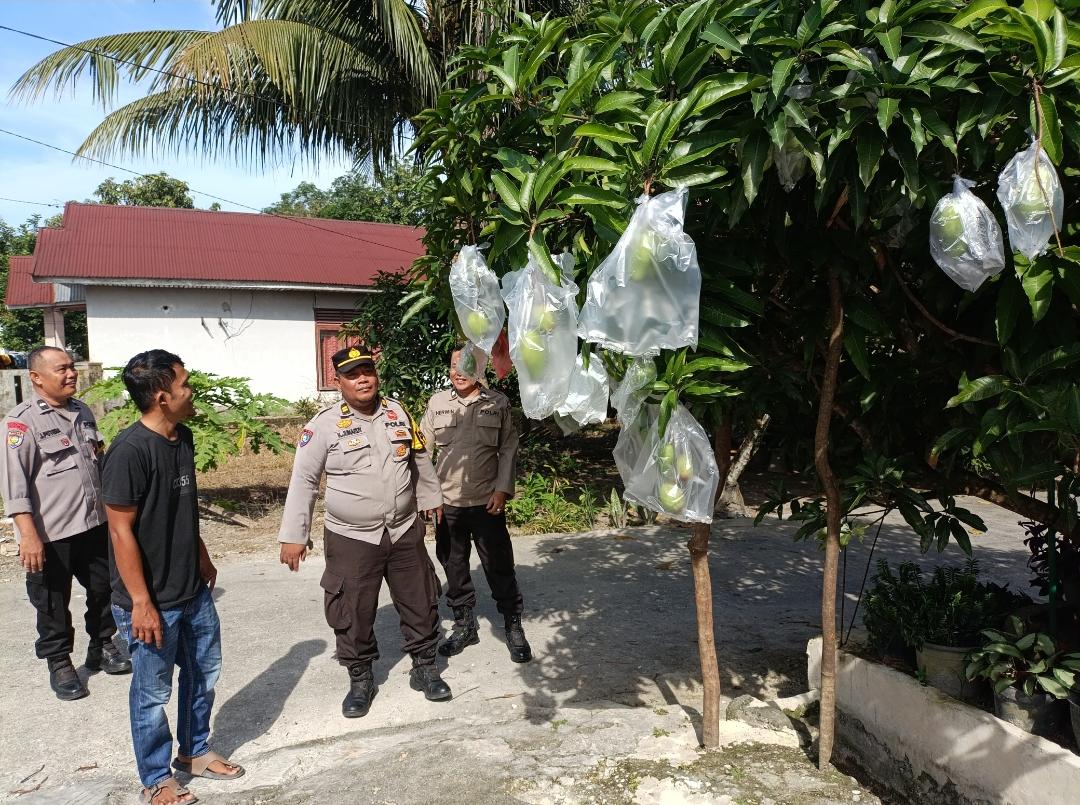 fmmnews.com | _Polresta Pekanbaru Dorong Ketahanan Pangan, Polsek Bukit Raya Edukasi Warga Manfaatkan Pekarangan Rumah_*