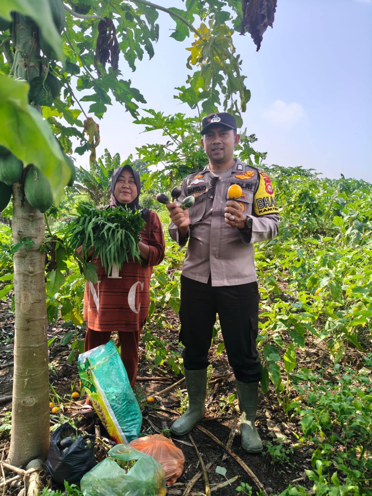 fmmnews.com | Polsek Batang Tuaka Hadir di Tengah Petani, Kapolsek Iptu Andrianto SH MH Dorong Percepatan Swasembada Pangan Nasional