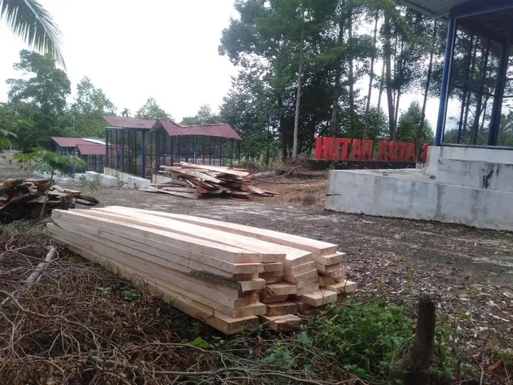 fmmnews.com | Publik Pertanyakan Legalitas Penebangan Pohon di Kawasan Wisata Hutan Kota Pasaman Barat