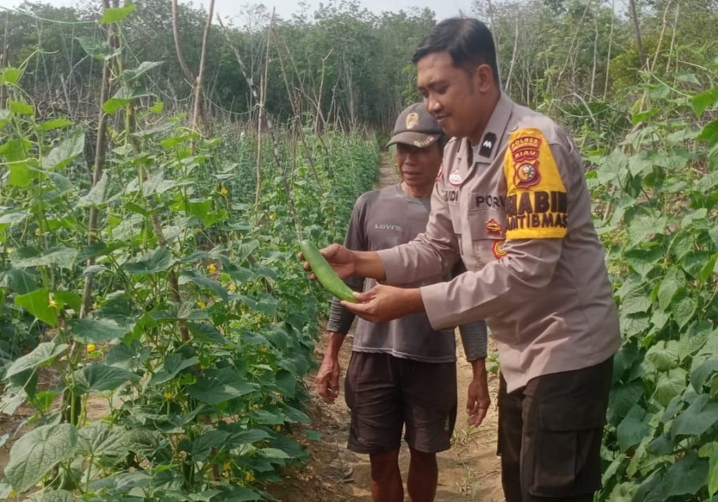 fmmnews.com | Bhabinkamtibmas Polsek Kelayang Aktif Sambangi Warga, Dukung Ketahanan Pangan dan Perkuat Kamtibmas di Desa Talang Perigi