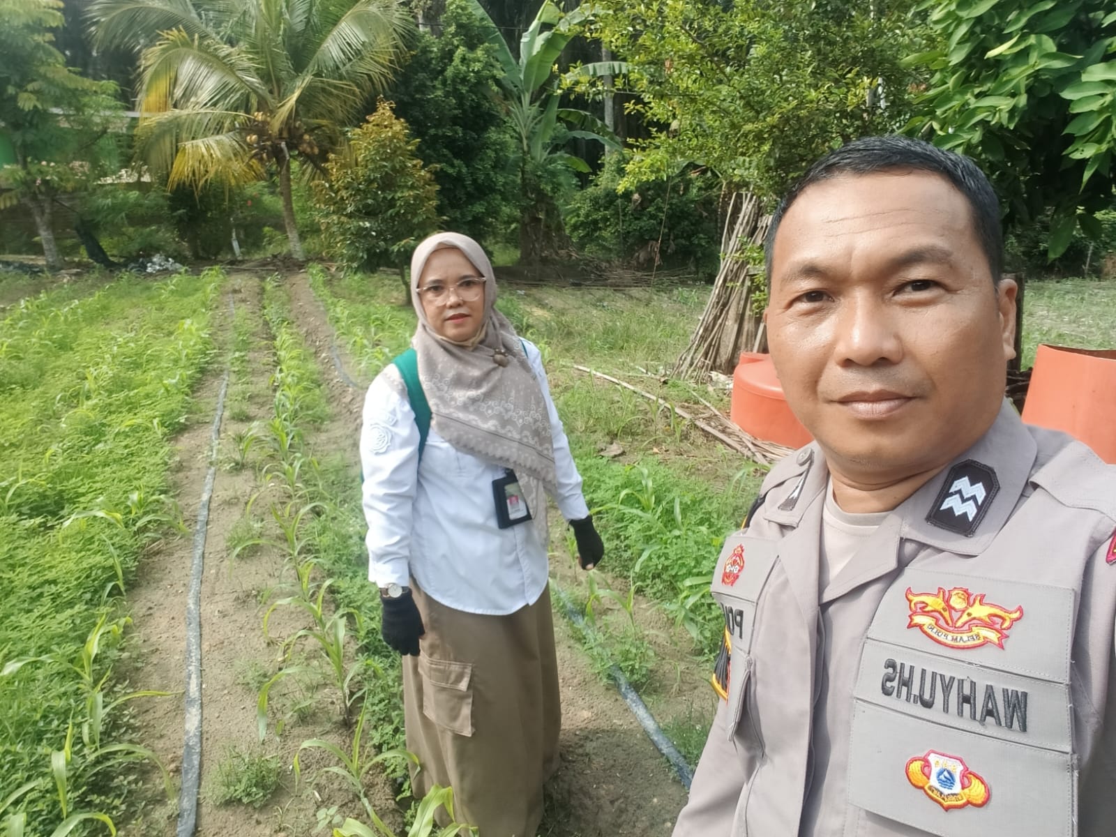  | BHABINKAMTIBMAS BERSAMA PPL DAMPINGI PETANI CEK TANAMAN JAGUNG PIPIL DI SIALANG PALAS
