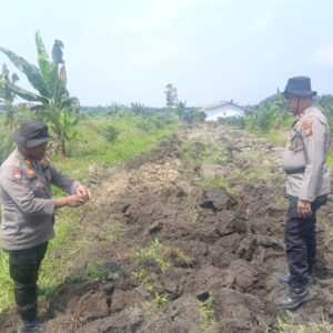  | Polsek Kandis Gelorakan Tanam Jagung Dukung Ketahanan Pangan Kuartal III 2026*