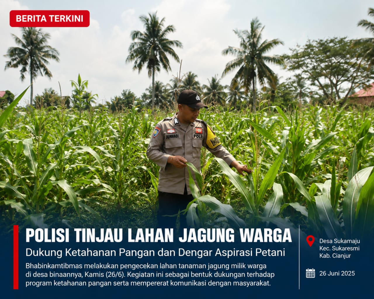 | Kapolsek Tembilahan Hulu Perkuat Pengawasan Program Ketahanan Pangan, Pantau Progres Tanaman Jagung Kuartal II di Pulau Palas