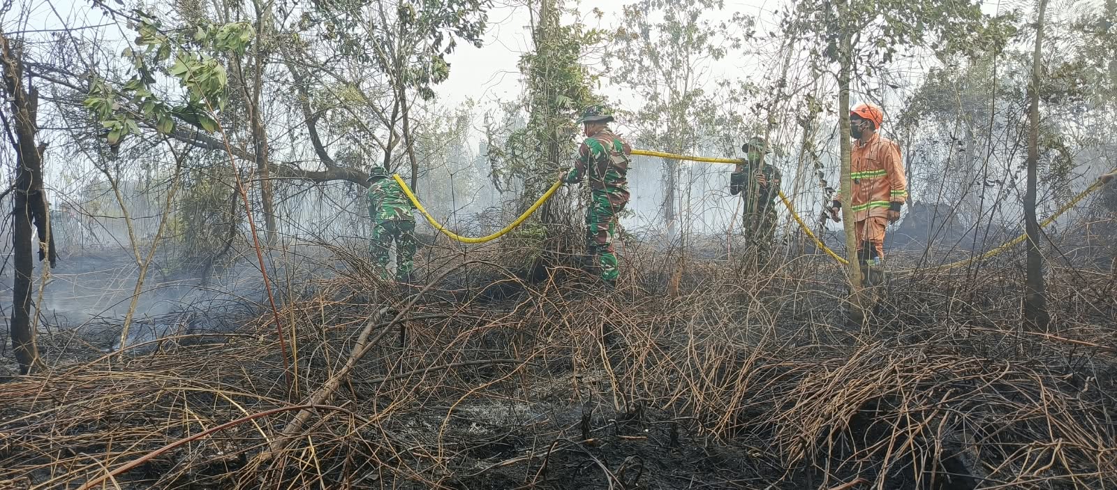  | Sinergi TNI-Polri dan Tim Gabungan Bergerak Cepat Atasi Kebakaran Hutan dan Lahan di Rimba Panjang