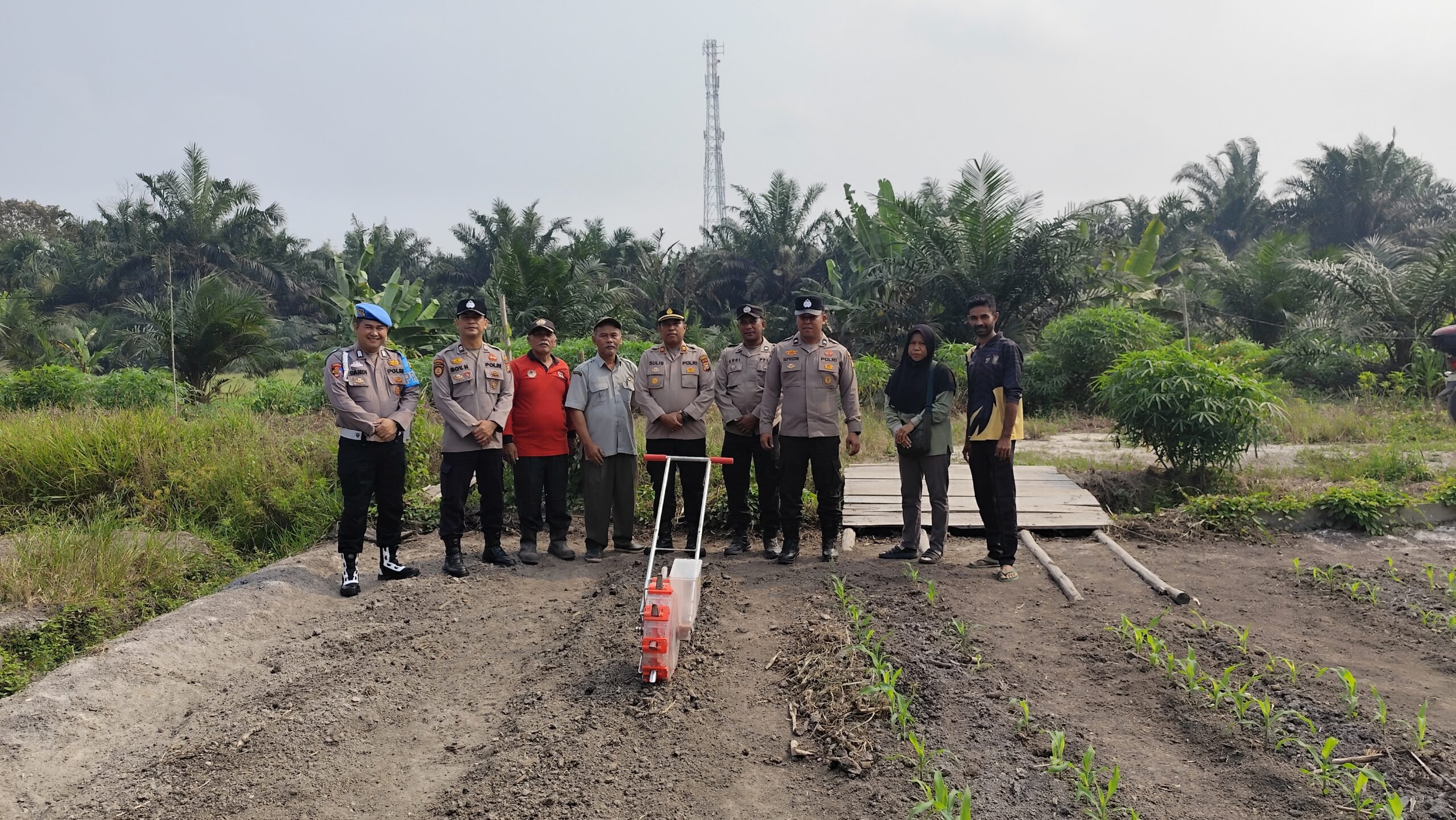 | Sinergi Polri dan Petani, Polsek Perhentian Raja Dukung Penanaman Jagung Pipil di Desa Pantai Raja | Sinergi Polri dan Petani, Polsek Perhentian Raja Dukung Penanaman Jagung Pipil di Desa Pantai Raja