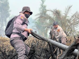  | Bertambah, Polda Riau Kini Tangani 45 Kasus Karhutla, 49 Orang Jadi Tersangka