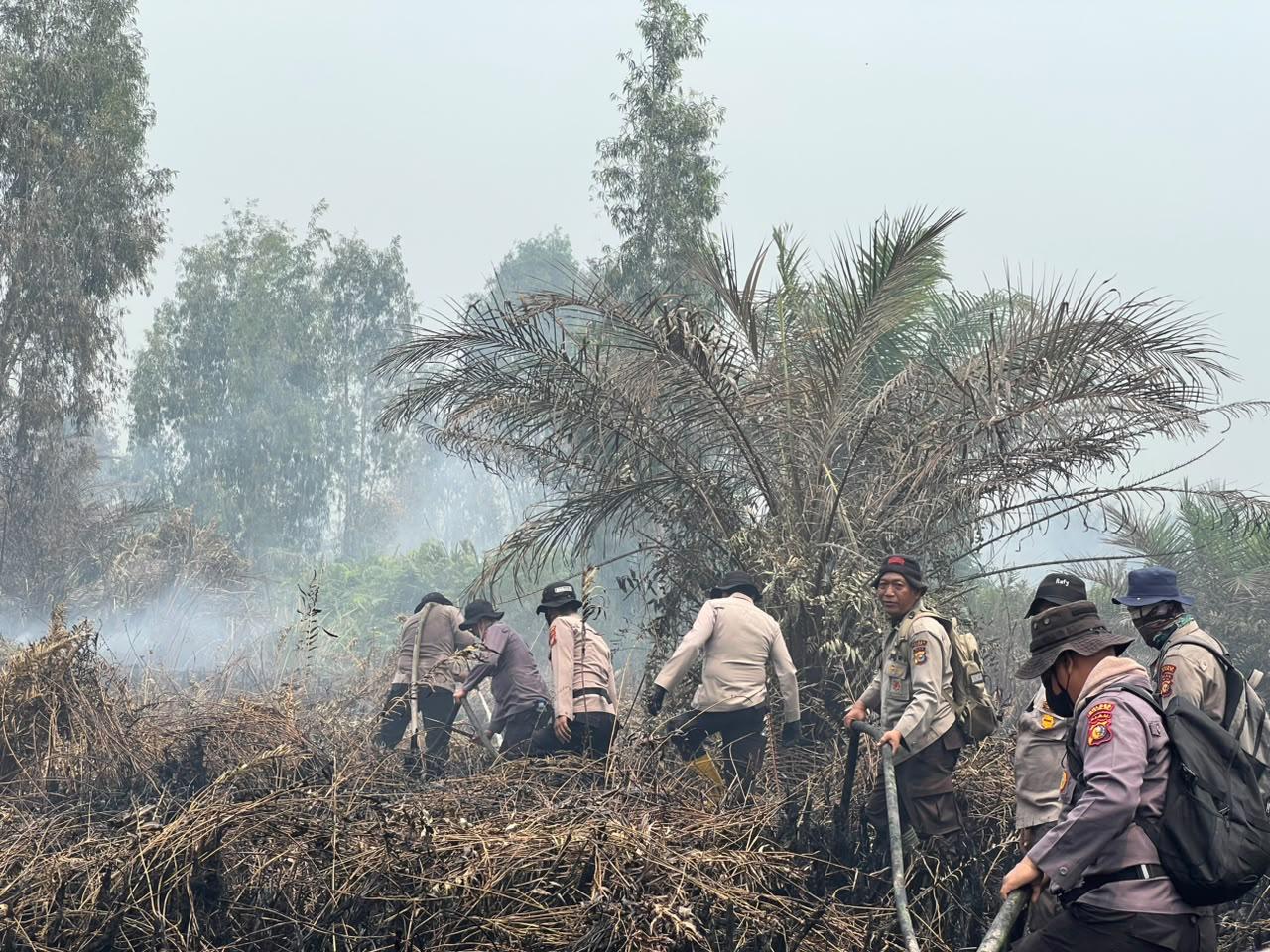 | Bertambah, Polda Riau Kini Tangani 45 Kasus Karhutla, 49 Orang Jadi Tersangka | Bertambah, Polda Riau Kini Tangani 45 Kasus Karhutla, 49 Orang Jadi Tersangka